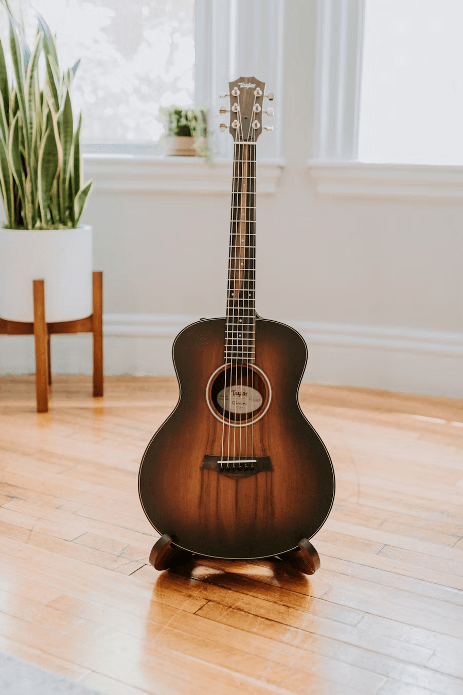 Acoustic Guitar